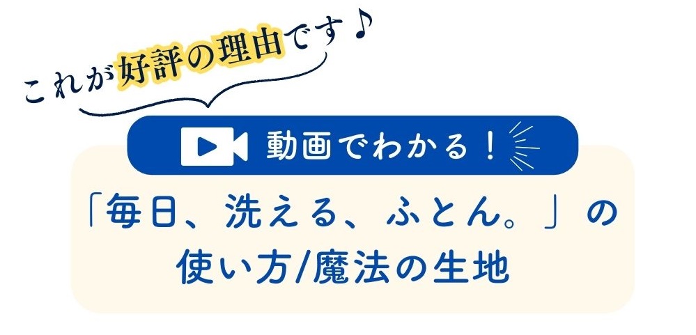 動画の案内